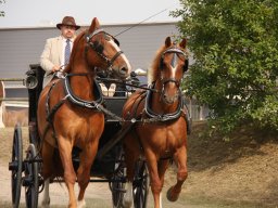 IMG_0721_web